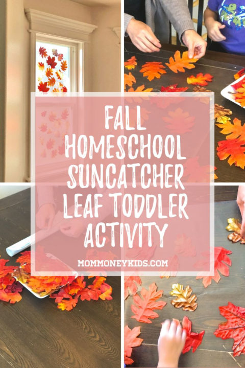 Fun Fall Homeschool Suncatcher Leaf Toddler Activity - Mom Money Kids