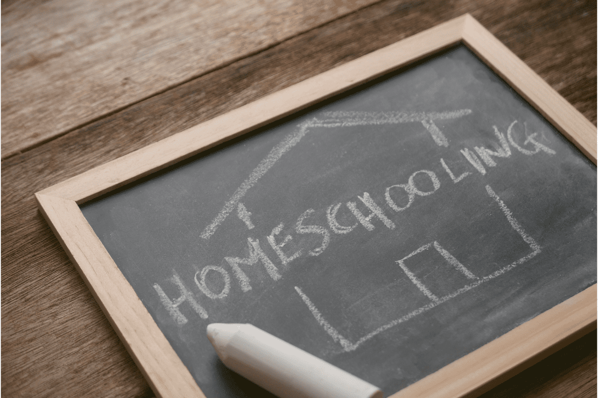 7 tips for successful homeschooling