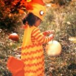 diy gold fish halloween costume