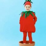 diy tomato kids halloween costume